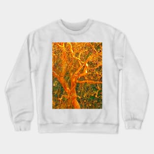 Golden Tree Crewneck Sweatshirt